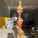 Pyramid Favour Chewable Foraging Parrot Toy - Large