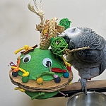 UFO Pinata Chewable Foraging Parrot Toy