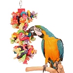 Preenmonster Wood and Rope Parrot Toy
