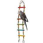 Coloured Bendy Ladder Parrot Climbing Toy