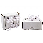 Foraging Boxes for Parrots Pack of 2