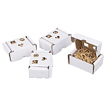 Foraging Boxes Cardboard Parrot Toys Pack of 4