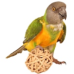 Munch Balls Woven Vine Chew Toy for Parrots