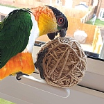 Jute Rope Ball Parrot Foot Toy - Medium