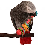 Vine Ring Rattle Foot Toy for Parrots