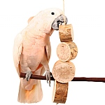 Bird Kabob - Mucho Grande - Natural Chewable Parrot Toy