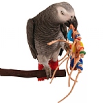 Rollicking Foot Toy for Parrots