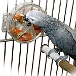 Original Foraging Wheel - Interactive Creative Parrot Toy