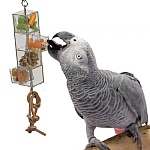 Foraging Tower Mentally Stimulating Foraging Parrot Toy