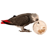 Buffet Party Ball Creative Foraging Toy for Parrots
