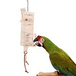 Tug N Slide Foraging Tower Parrot Toy