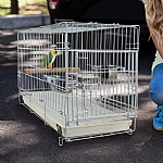 Folding Parrot Travel Cage