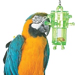 Snack Rack - Multi-Level Foraging Toy for Parrots