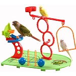 Birdie Basketball Gym - Activity Centre for Smaller Parrots