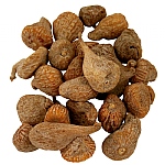 Dried Figs Parrot Treat - 200g