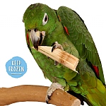 Sugar Cane Natural Parrot Treat