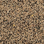 Johnston & Jeff Favourite Mixed Canary Seed