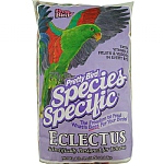 Pretty Bird Eclectus Special - 3lb