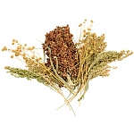 Naturals Pick `n` Fly - 130g - Treat for Pet Birds