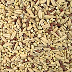 TOP`s Napoleon Seed and Soaking Mix Small Parrot Food 5lb