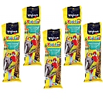 Vitakraft Cockatiel Treat Sticks Honey and Eucalyptus Case of 5