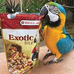 Prestige Exotic Fruit Mix Parrot Treat 15kg