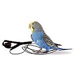 The Aviator Parrot Harness - Mini