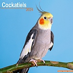 2024 Cockatiel Calendar
