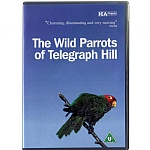 The Wild Parrots of Telegraph Hill DVD