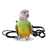 The Aviator Parrot Harness - XSmall